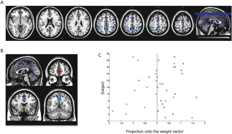 Fig. 1