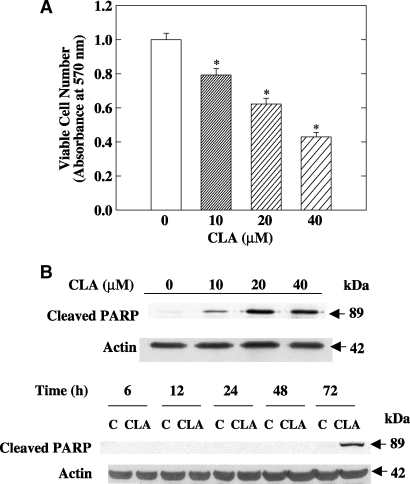 Fig.1.