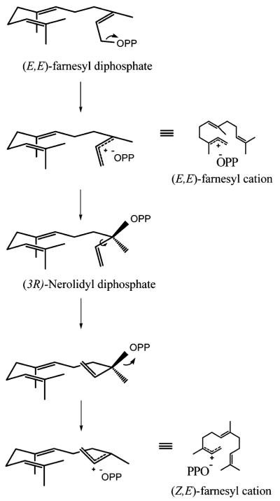 Scheme 2