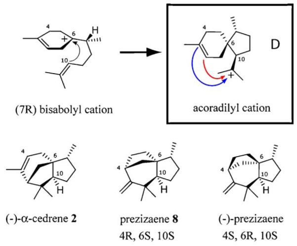 Scheme 5