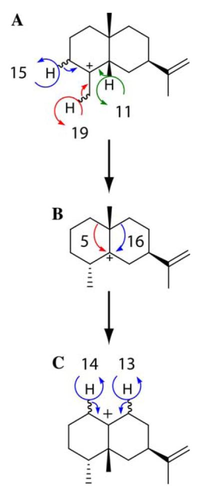 Scheme 4