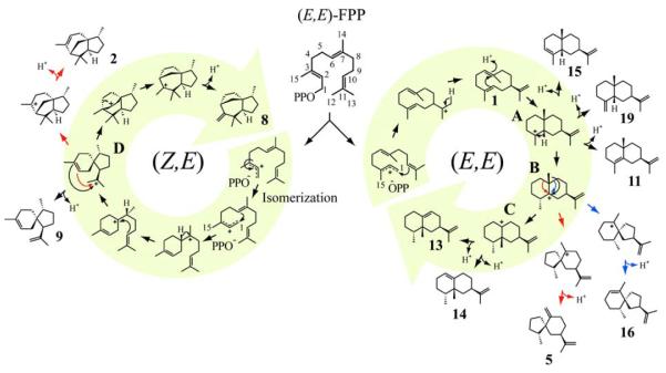 Fig. 3