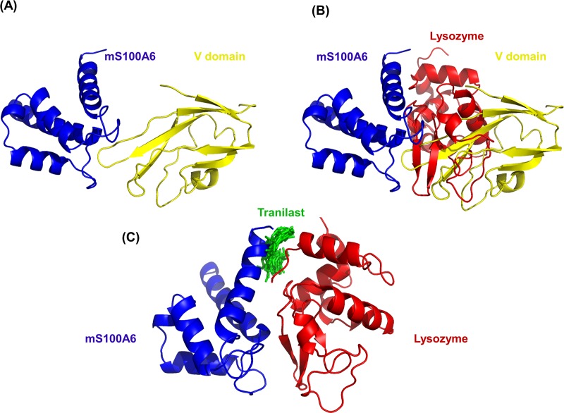 Fig 10