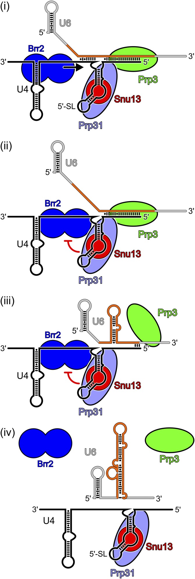 Fig. S6.