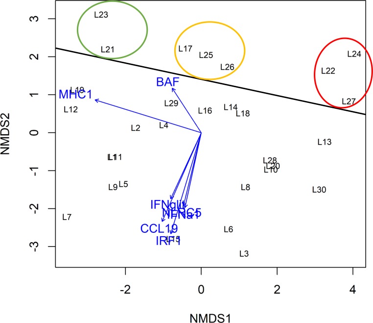 Fig 5