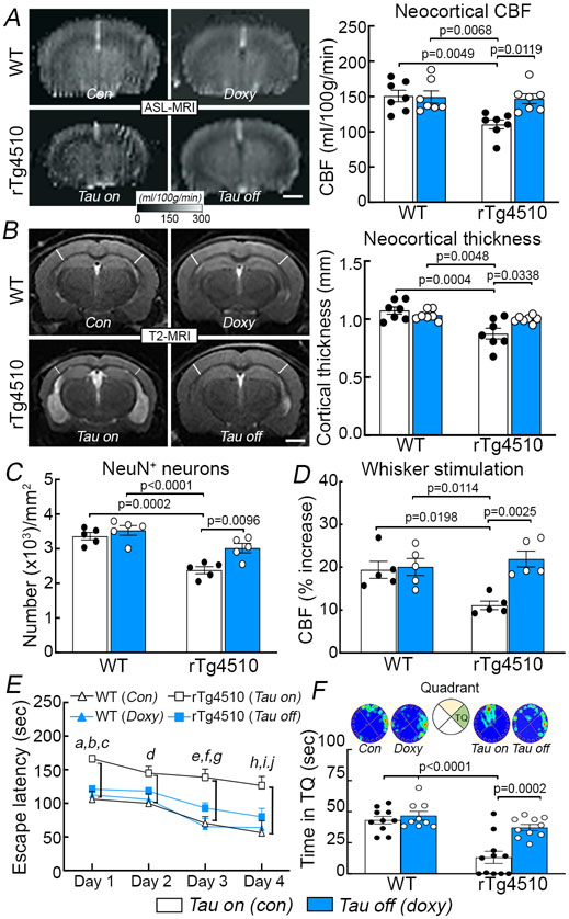 Figure 4: