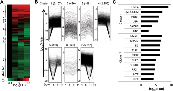 Figure 5.