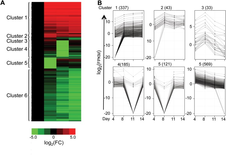 Figure 6.