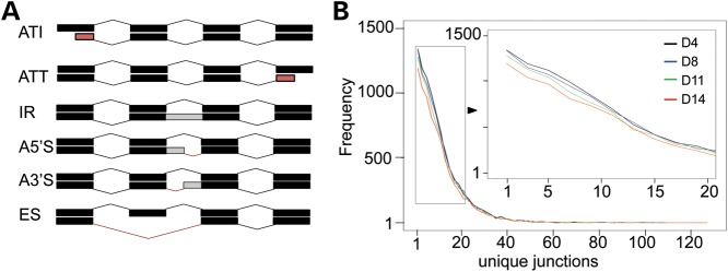 Figure 3.