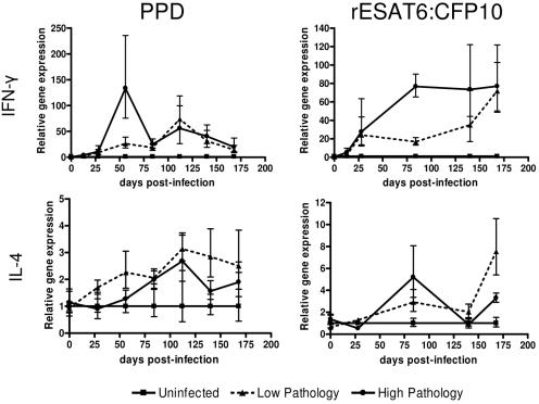 FIG. 4.