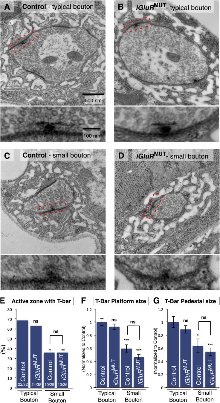 Figure 6