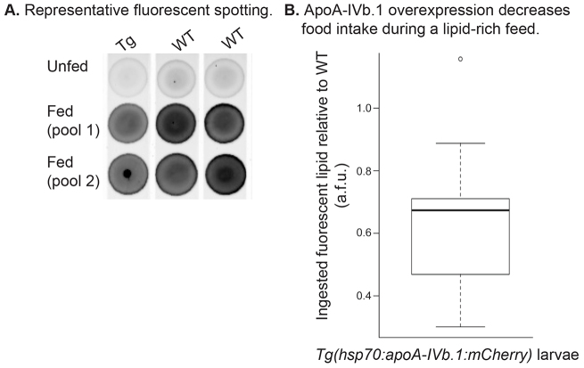 Fig. 7.