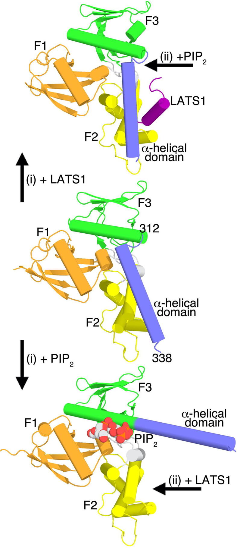 Fig. 5