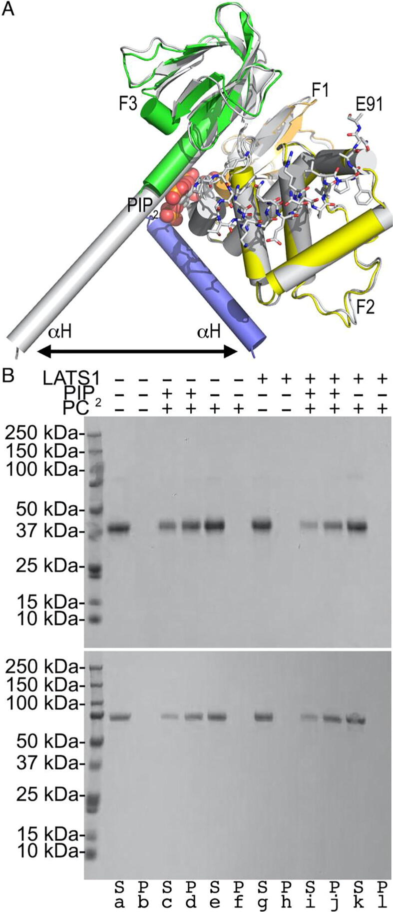 Fig. 4