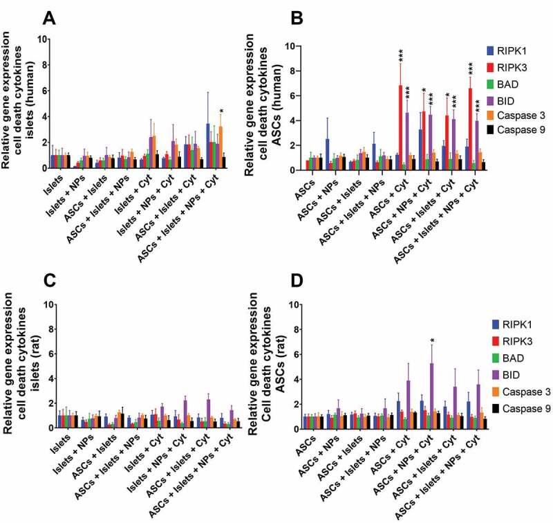 Bar graphs for relative expression of the cell-death associated genes RIPK1, RIPK3, BAD, BID, Caspase 3, and Caspase 9 for human and rat islets and adipose-derived stem cells after culturing alone or co-culture in the presence or absence of squalene-gusperimus nanoparticles and/or the cytokine cocktail composed of IFN-γ, IL-1β, and TNF-α.