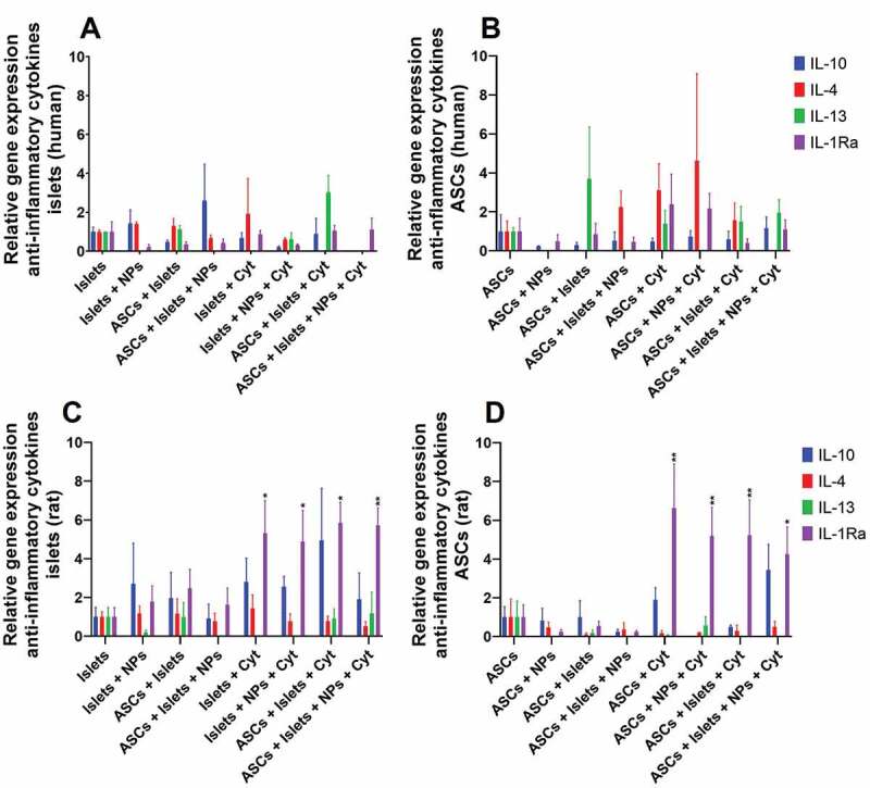 Bar graphs for relative expression of the genes associated with secretion of the regulatory cytokines IL-10, IL-4, IL-13, and IL-1Ra for human and rat islets and adipose-derived stem cells after culturing alone or co-culture in the presence or absence of squalene-gusperimus nanoparticles and/or the cytokine cocktail composed of IFN-γ, IL-1β, and TNF-α.