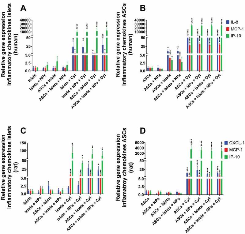 Bar graphs for relative expression of the genes associated with secretion of the proinflammatory chemokines IL-8/CXCL-1, MCP-1, and IP-10 for human and rat islets and adipose-derived stem cells after culturing alone or co-culture in the presence or absence of squalene-gusperimus nanoparticles and/or the cytokine cocktail composed of IFN-γ, IL-1β, and TNF-α.