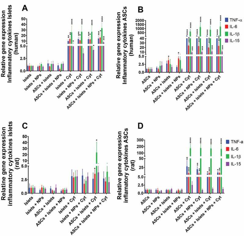 Bar graphs for relative expression of the genes associated with secretion of the proinflammatory cytokines TNF- α, IL-6, IL-1β, and IL-15 for human and rat islets and adipose-derived stem cells after culturing alone or co-culture in the presence or absence of squalene-gusperimus nanoparticles and/or the cytokine cocktail composed of IFN-γ, IL-1β, and TNF-α.