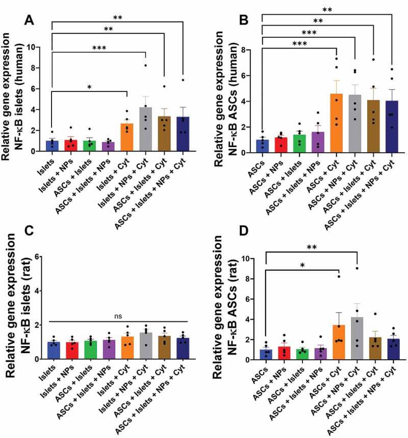 Bar graphs for relative expression of the NF-κB gene for human and rat islets and adipose-derived stem cells after culturing alone or co-culture in the presence or absence of squalene-gusperimus nanoparticles and/or the cytokine cocktail composed of IFN-γ, IL-1β, and TNF-α.