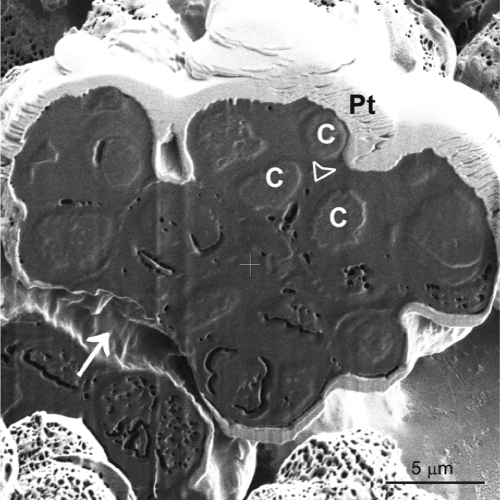 FIG. 5.