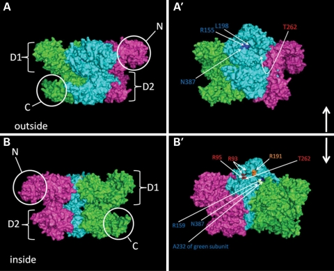 Figure 1.