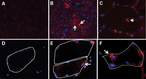 Figure 2.