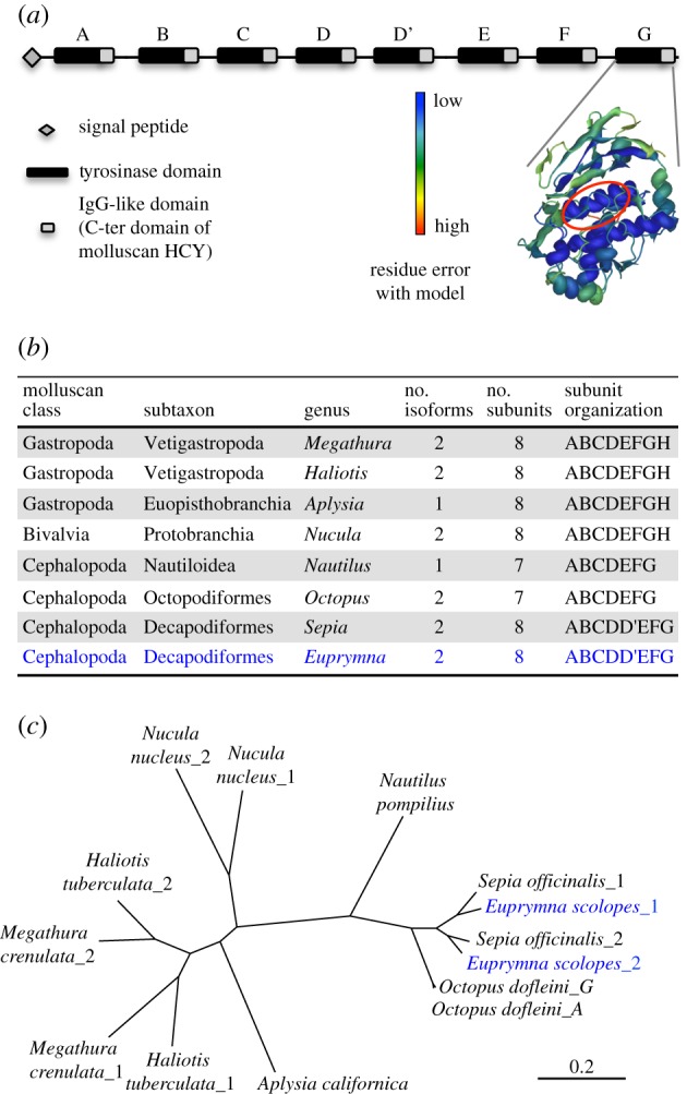 Figure 1.