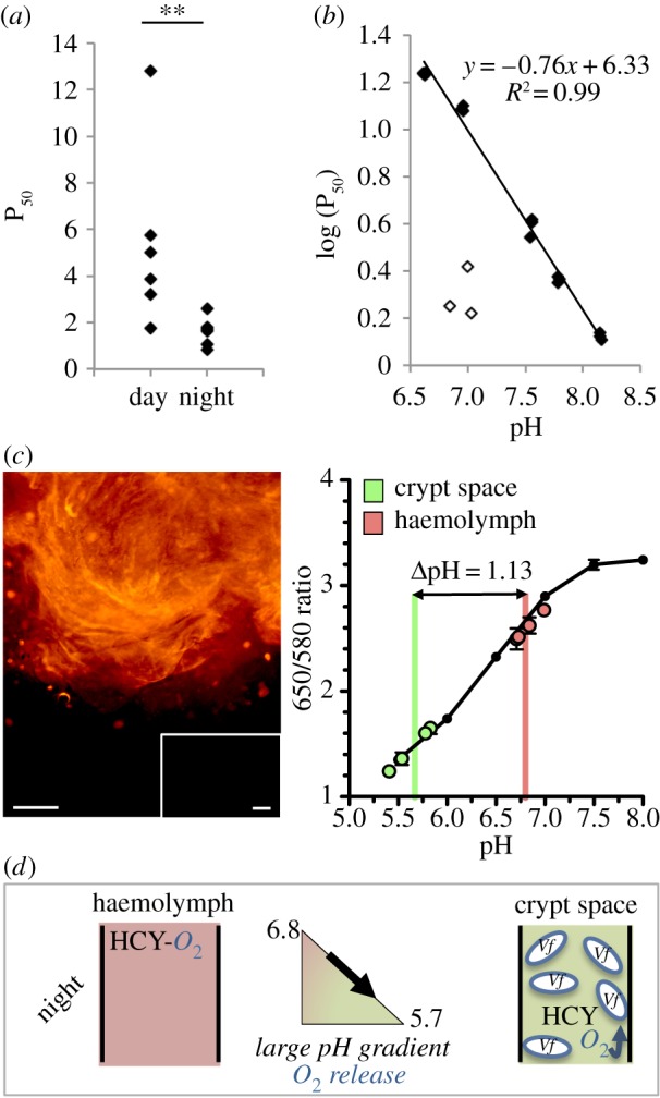 Figure 3.