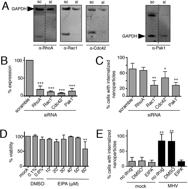 FIG 3 