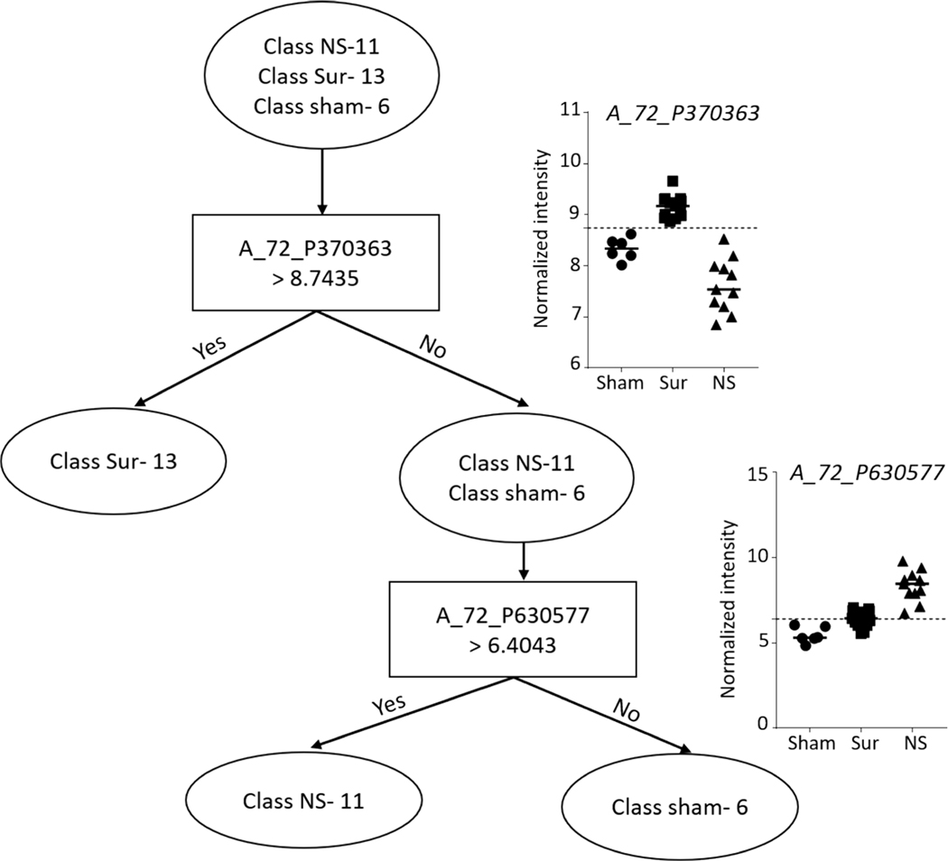 FIG. 11.