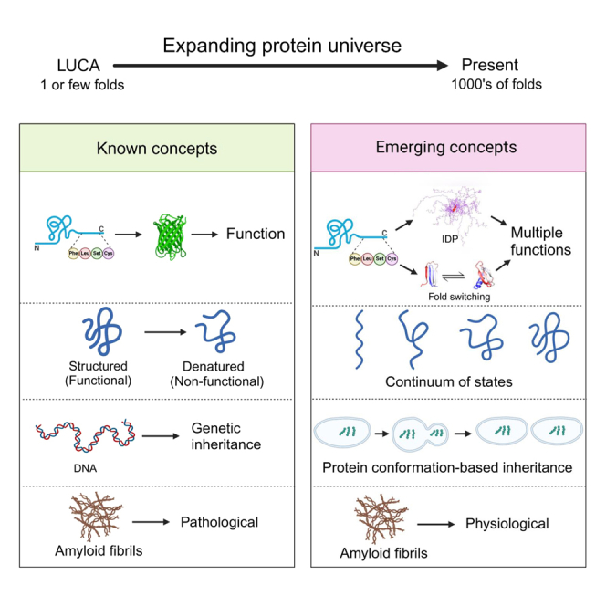 graphic file with name fx1.jpg