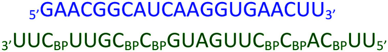 graphic file with name d0cb00136h-u3.jpg
