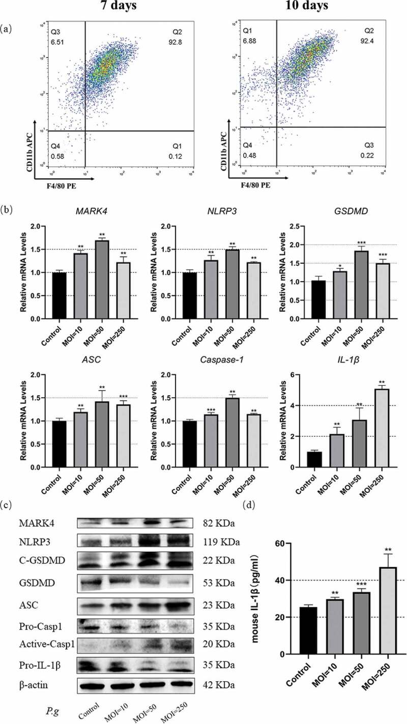 Figure 2.