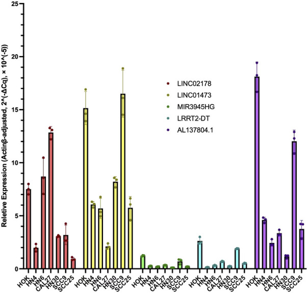 FIGURE 11