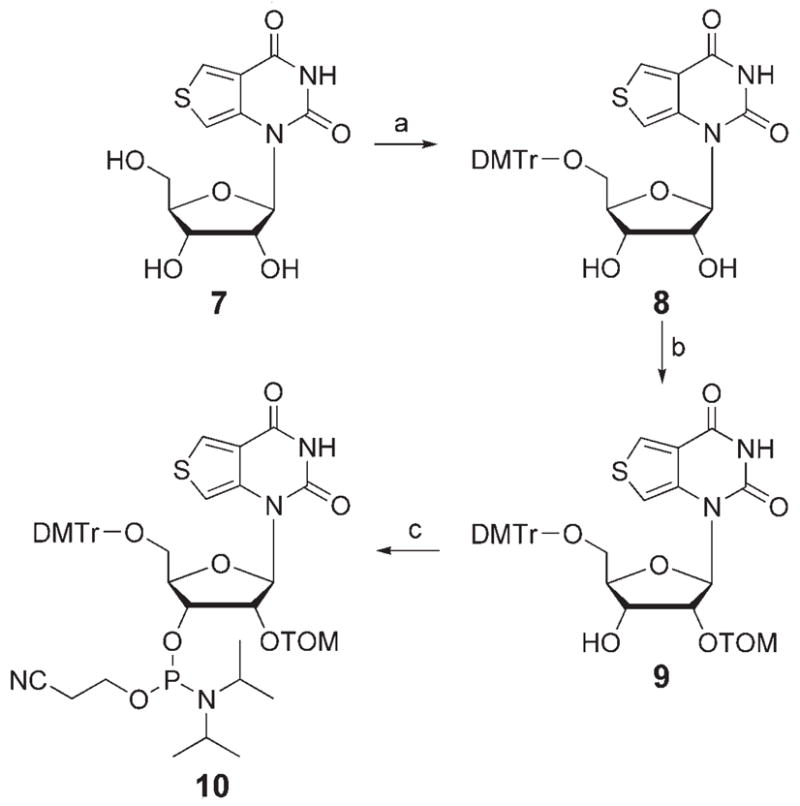 Scheme 1