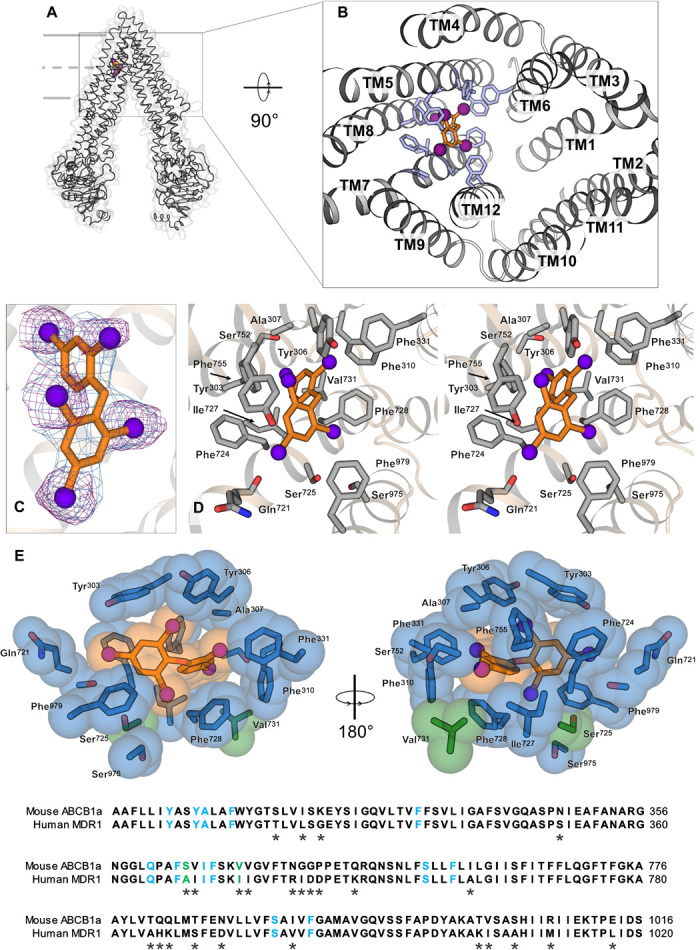 Fig. 3