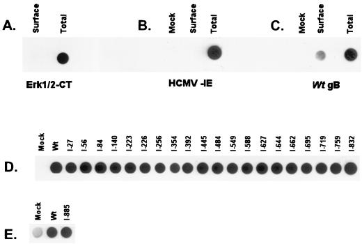 FIG. 5