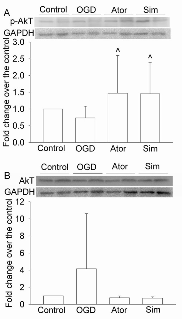 Fig. 8