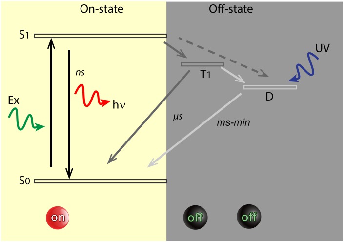 Fig 1