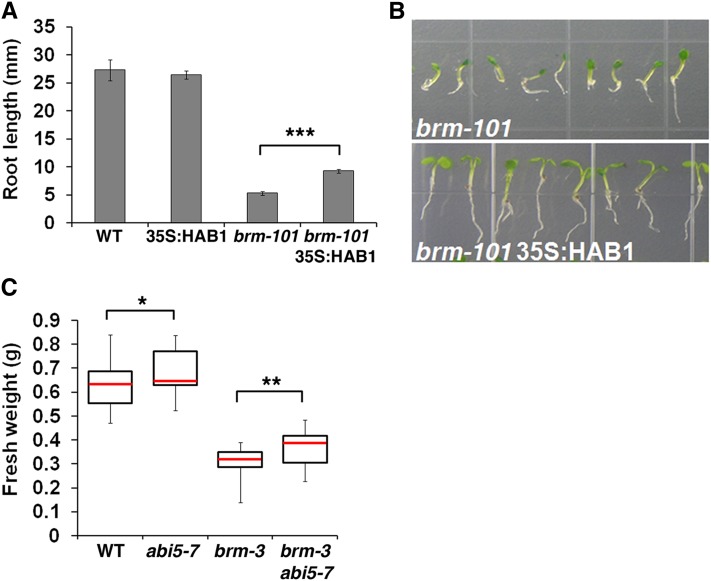 Figure 6.