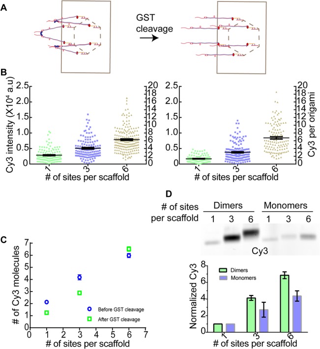 Fig 3