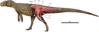 FIGURE 18