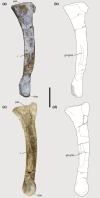 FIGURE 16