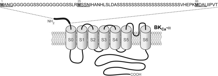 FIGURE 1.