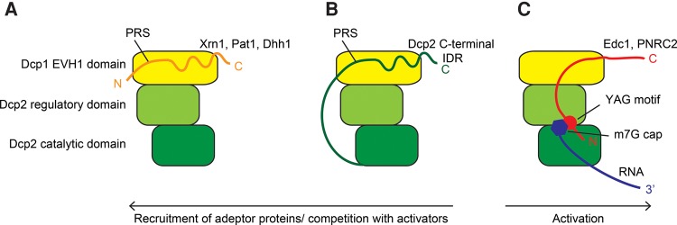 FIGURE 5.