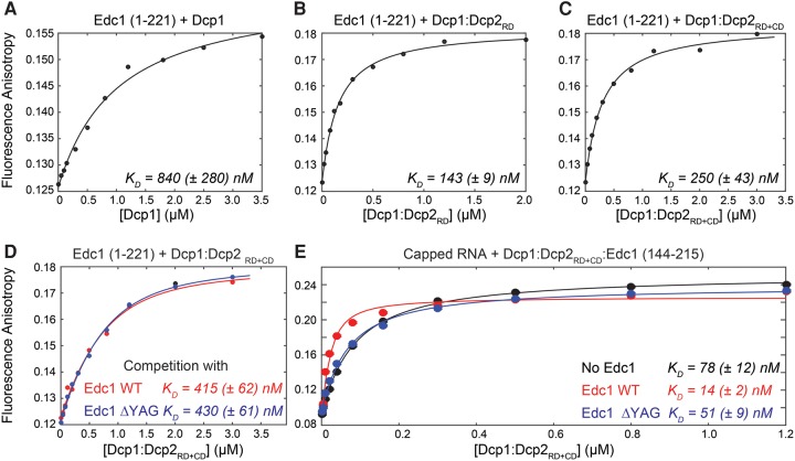 FIGURE 4.