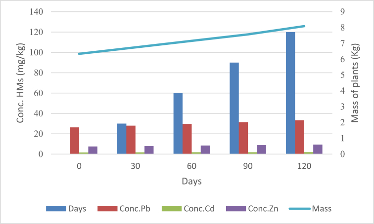 Figure 3