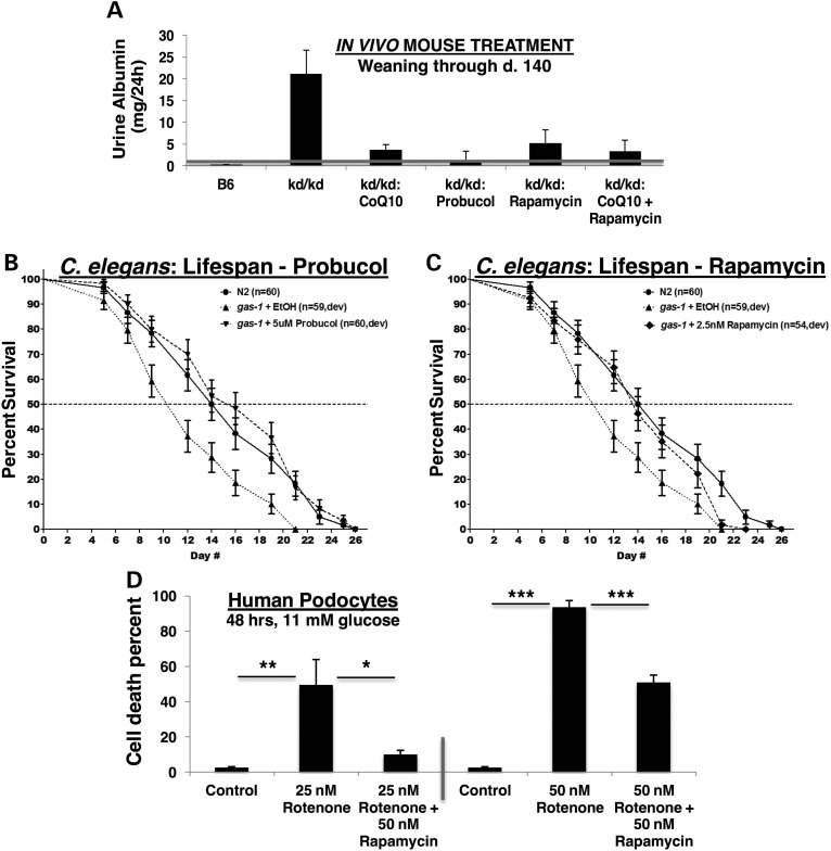 Figure 2.