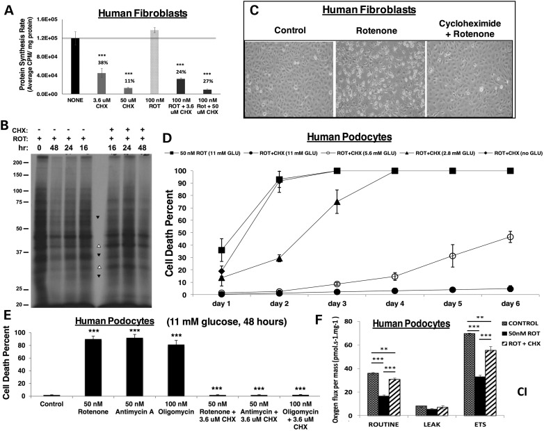 Figure 4.