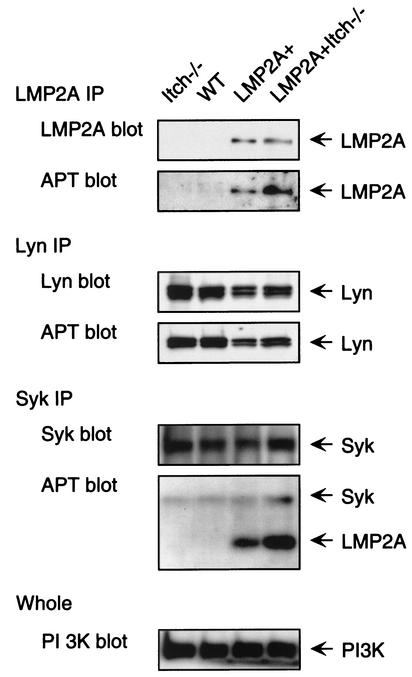 FIG. 5.